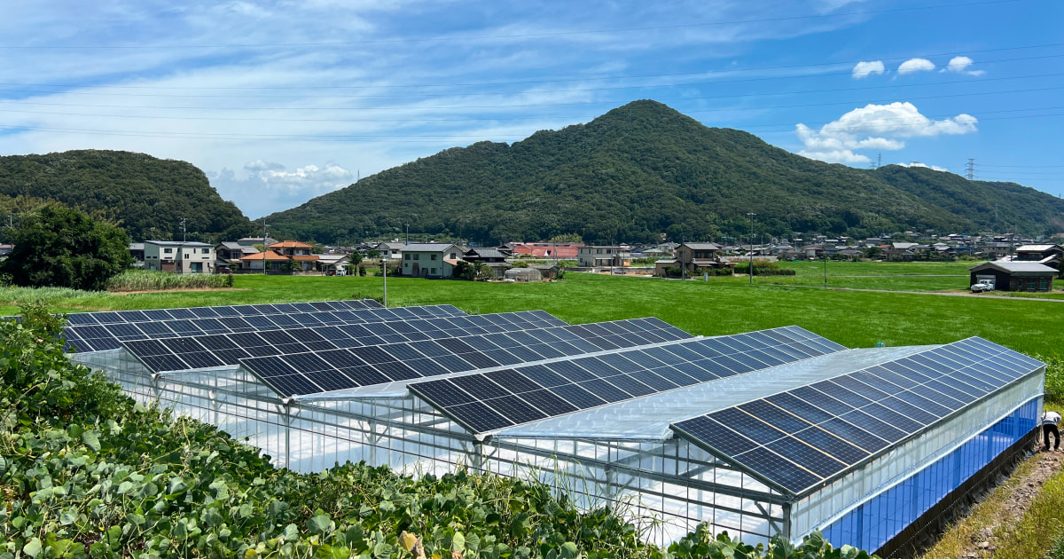 ソーラーパネル 540W 545W 550W 550W 555W 屋根ソーラー パネル太陽光発電システム