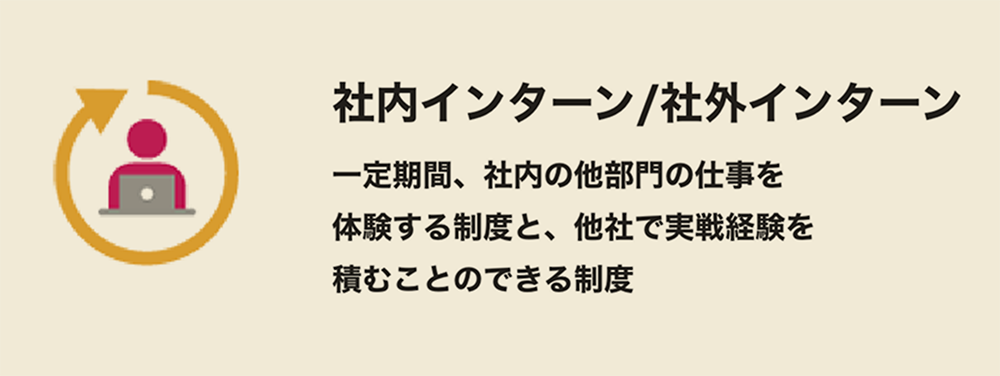 社内インターン/社外インターン 一定期間、社内の他部門の仕事を体験する制度と、他社で実戦経験を積むことのできる制度