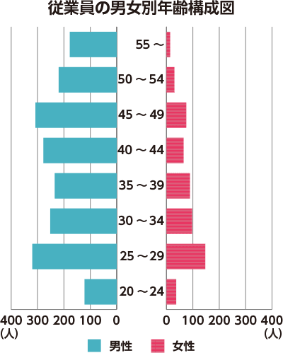 従業員の男女別年齢構成図