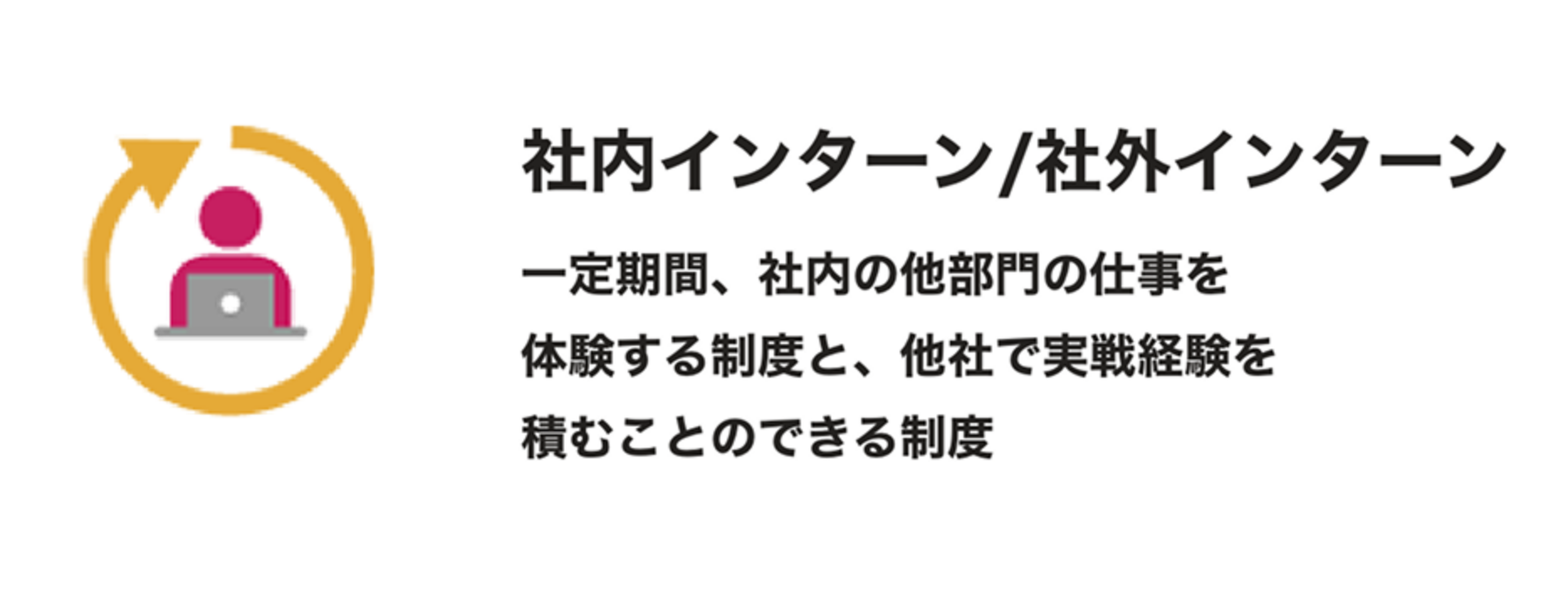 社内インターン/社外インターン：一定期間、社内の他部署の仕事を体験できる制度と、他社で実践経験を積むことのできる制度