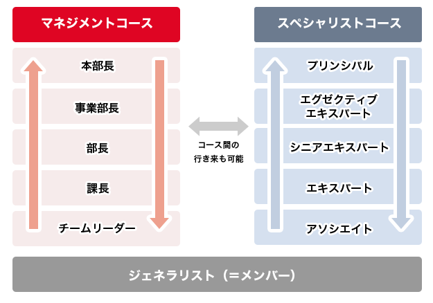 KCCSでは「ジェネラリスト」として活躍する以外にも、自身のキャリアビジョンに応じて、性別や年齢の区分けなく「マネジメント」「スペシャリスト」のコースを用意しており、役割を選択できる環境を用意しています。また、それぞれのコース間の行き来も可能です。