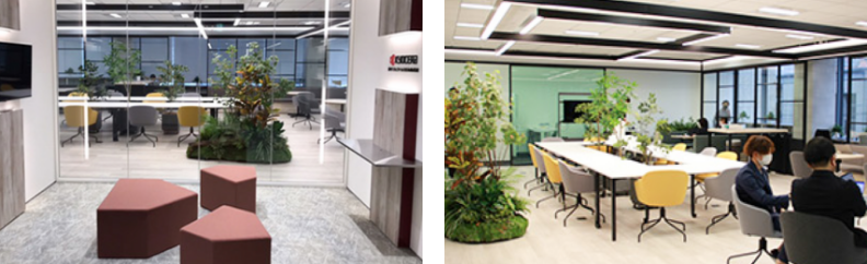 鹿児島 Innovation Lab