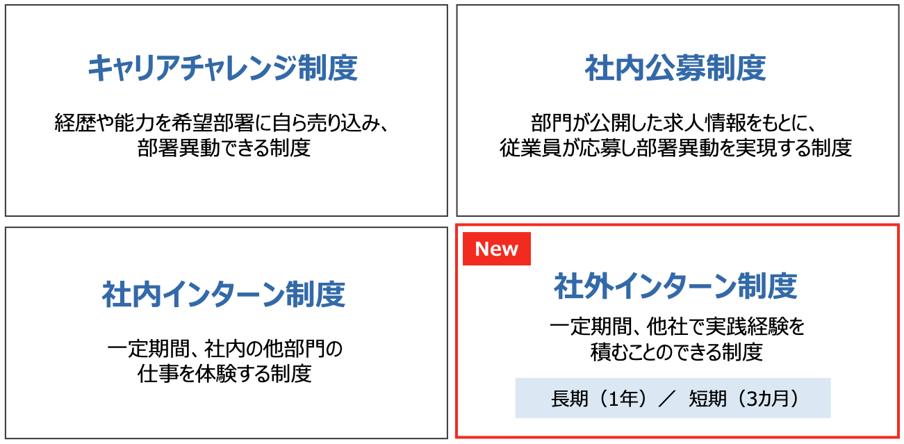 キャリアチャレンジ制度：経歴や能力を希望部署に自ら売り込み、部署異動できる制度。社内公募制度：部門が公開した求人情報をもとに、従業員が応募し部署異動を実現する制度。社内インターン制度：一定期間、社内の他部門の仕事を体験する制度。New 社外インターン制度：一定期間、他社で実践経験を積むことのできる制度。長期（1年）／短期（3カ月）。