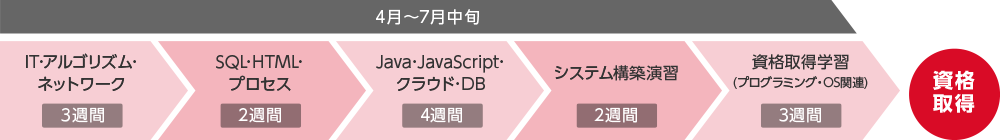 4月～7月中旬：IT・アルゴリズム・ネットワーク（3週間） SQL・HTML・プロセス（2週間） Java・JavaScript・クラウド・DB（4週間） システム構築演習（2週間） 資格取得学習（プログラミング・OS関連）（3週間） 資格取得